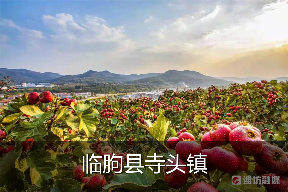 临朐县寺头镇
