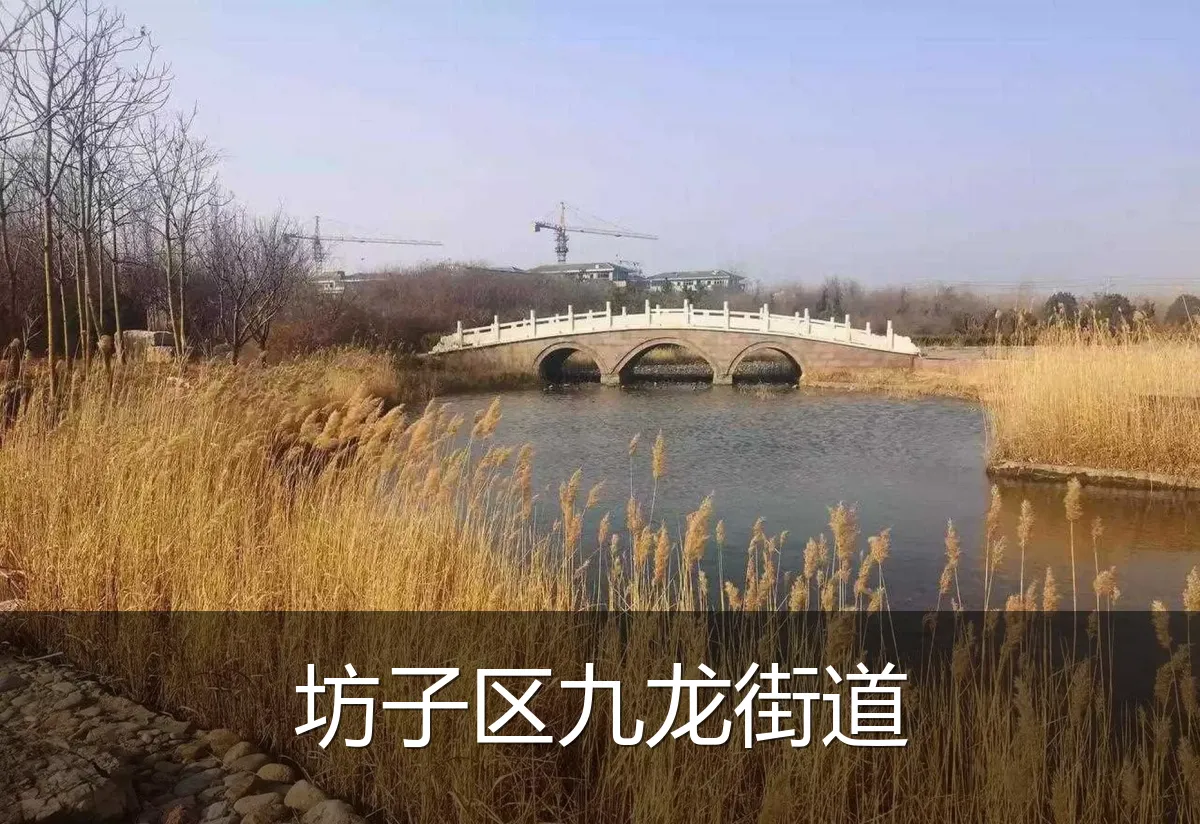 坊子区九龙街道