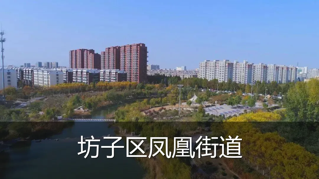 坊子区凤凰街道