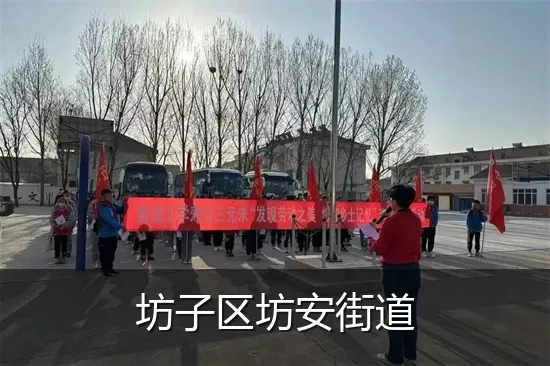 坊子区坊安街道