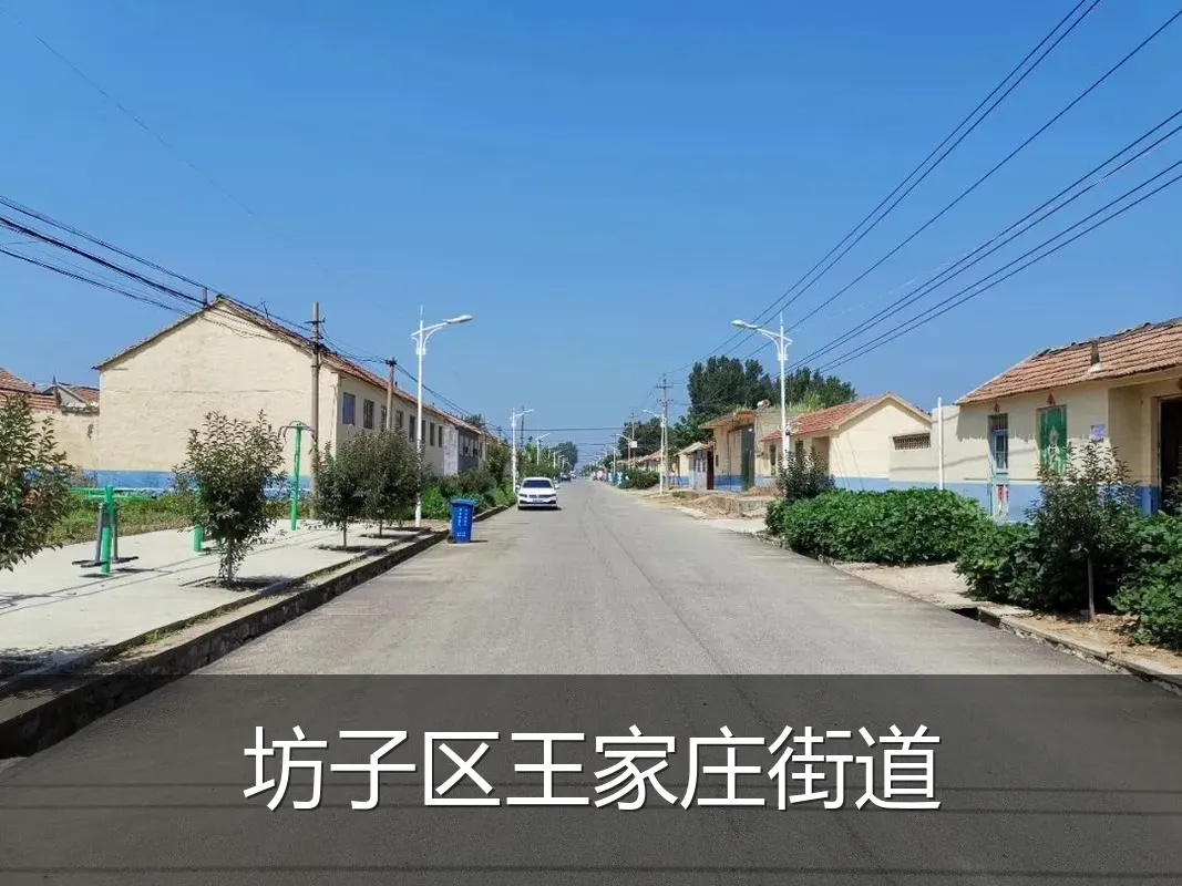 坊子区王家庄街道