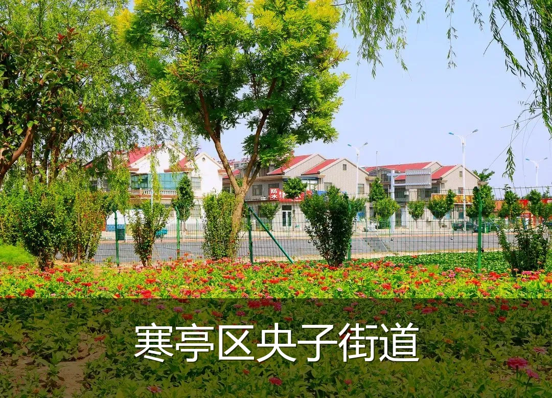 寒亭区央子街道