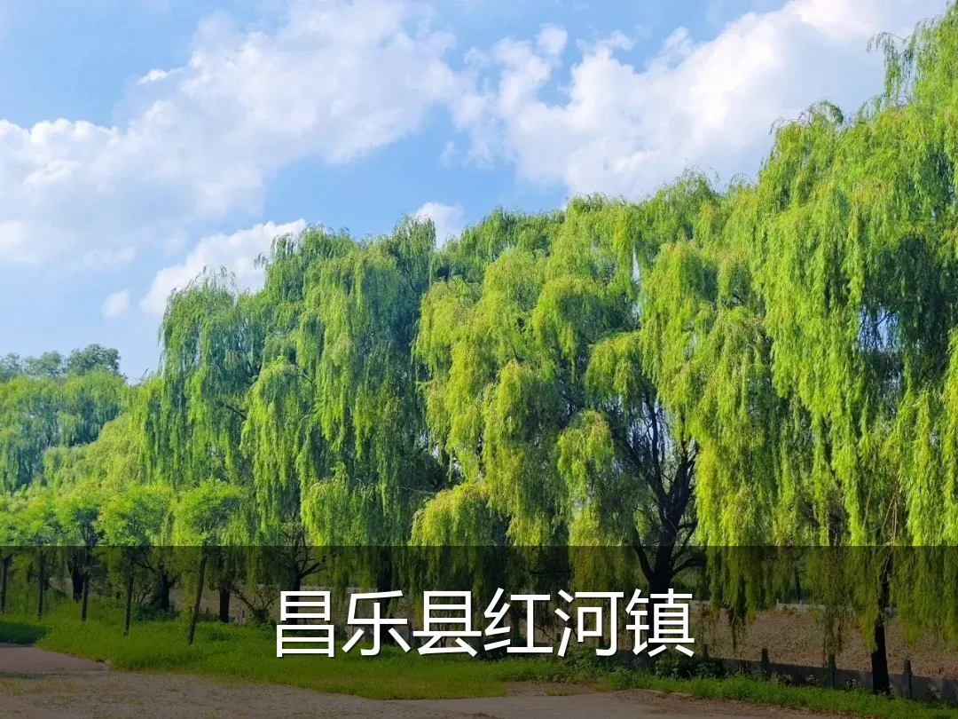昌乐县红河镇