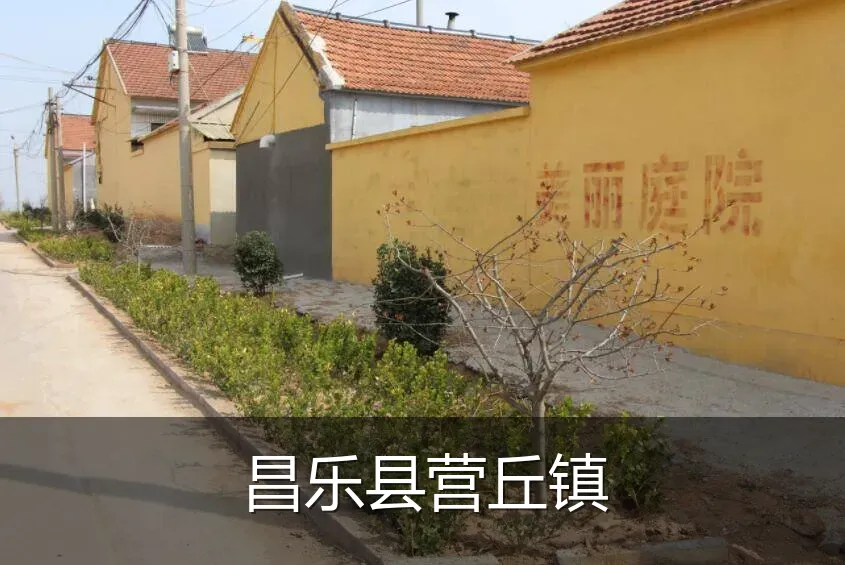 昌乐县营丘镇
