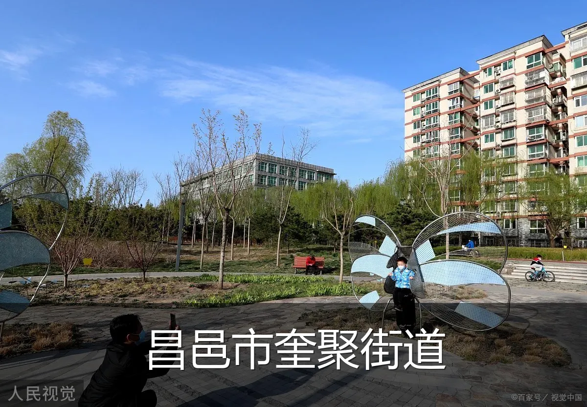 昌邑市奎聚街道