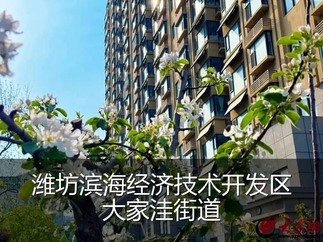 潍坊滨海经济技术开发区大家洼街道