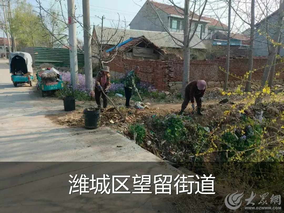 潍城区望留街道