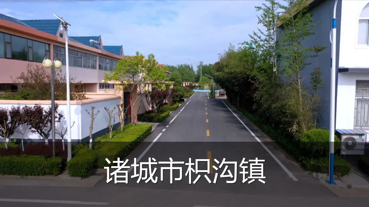 诸城市枳沟镇