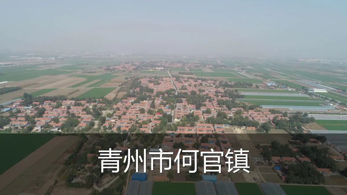 青州市何官镇
