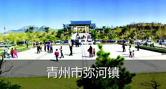 青州市弥河镇