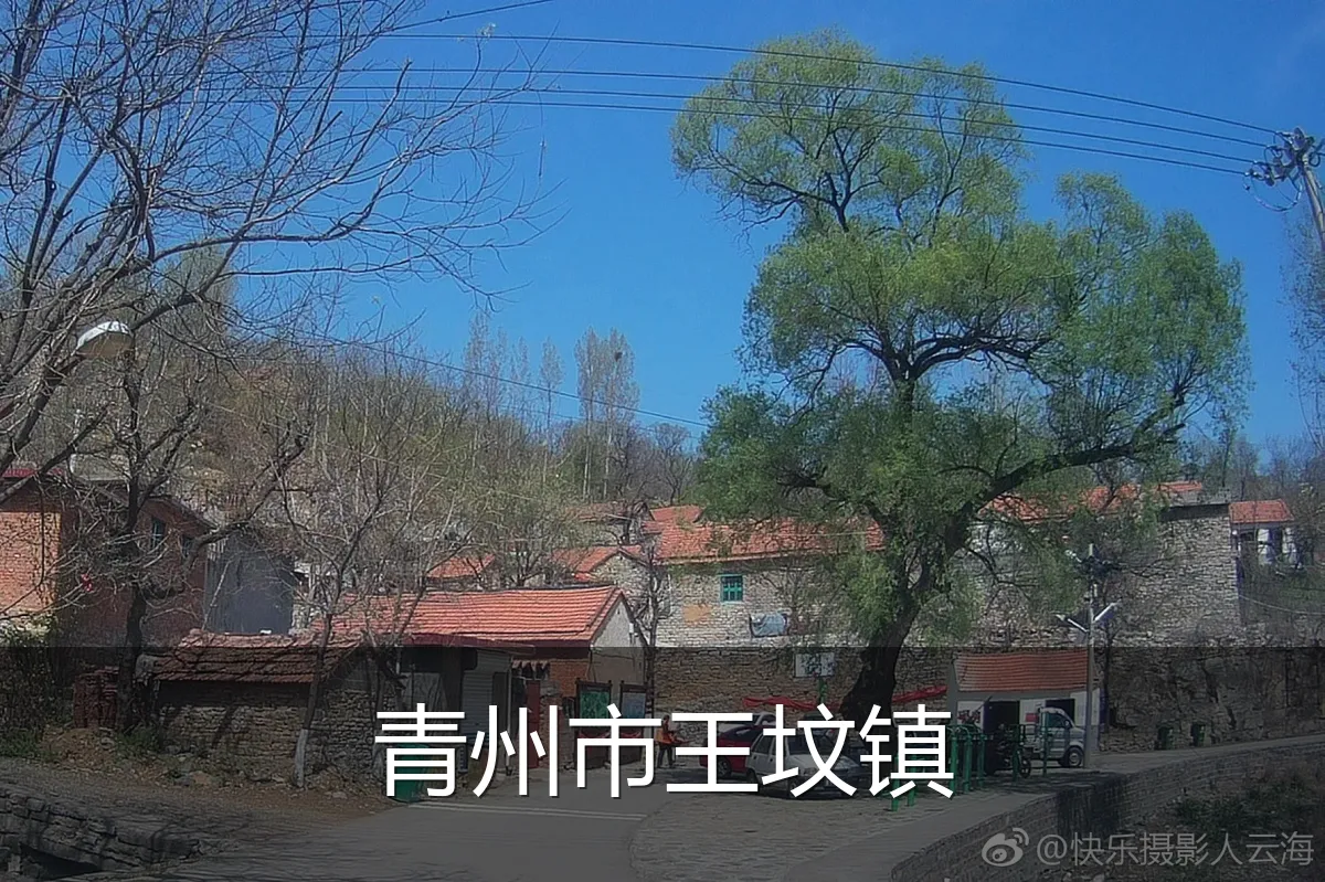 青州市王坟镇
