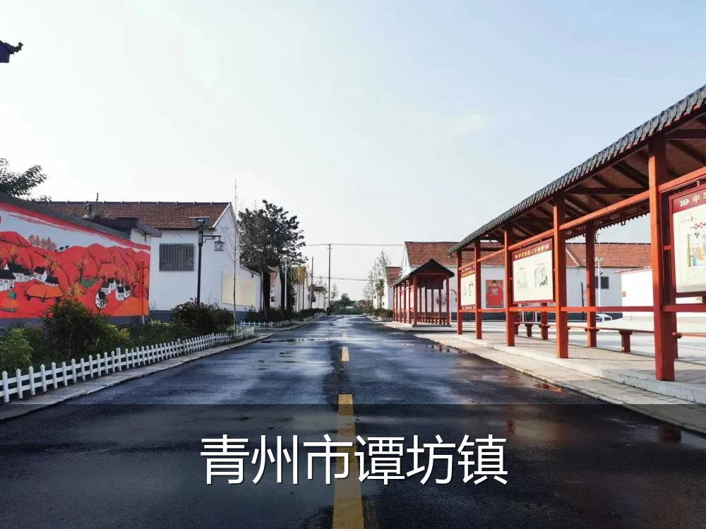 青州市谭坊镇