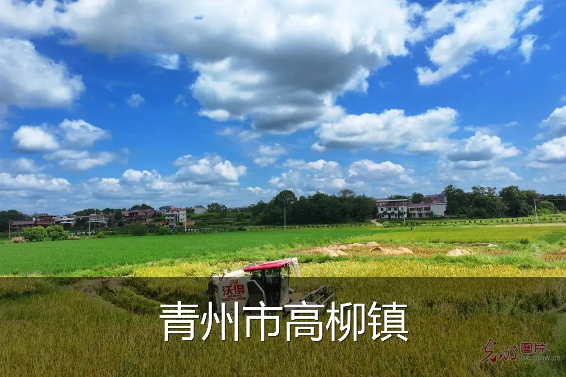 青州市高柳镇